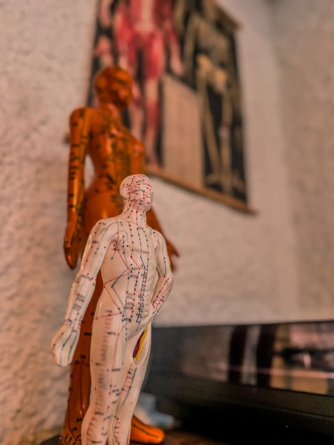 Benedikt Kohler Realbody 9